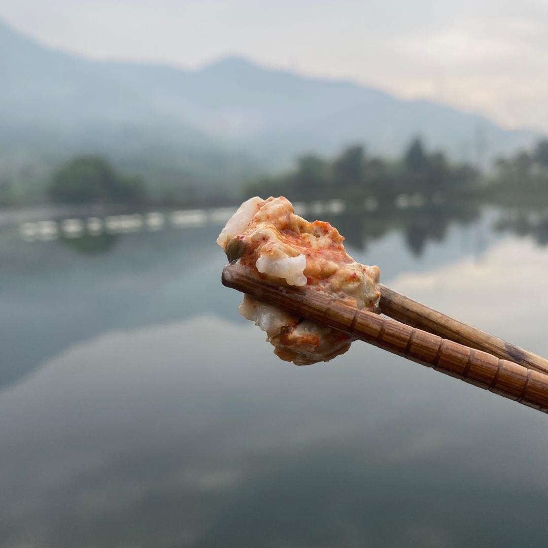 菌哥流浪记📸