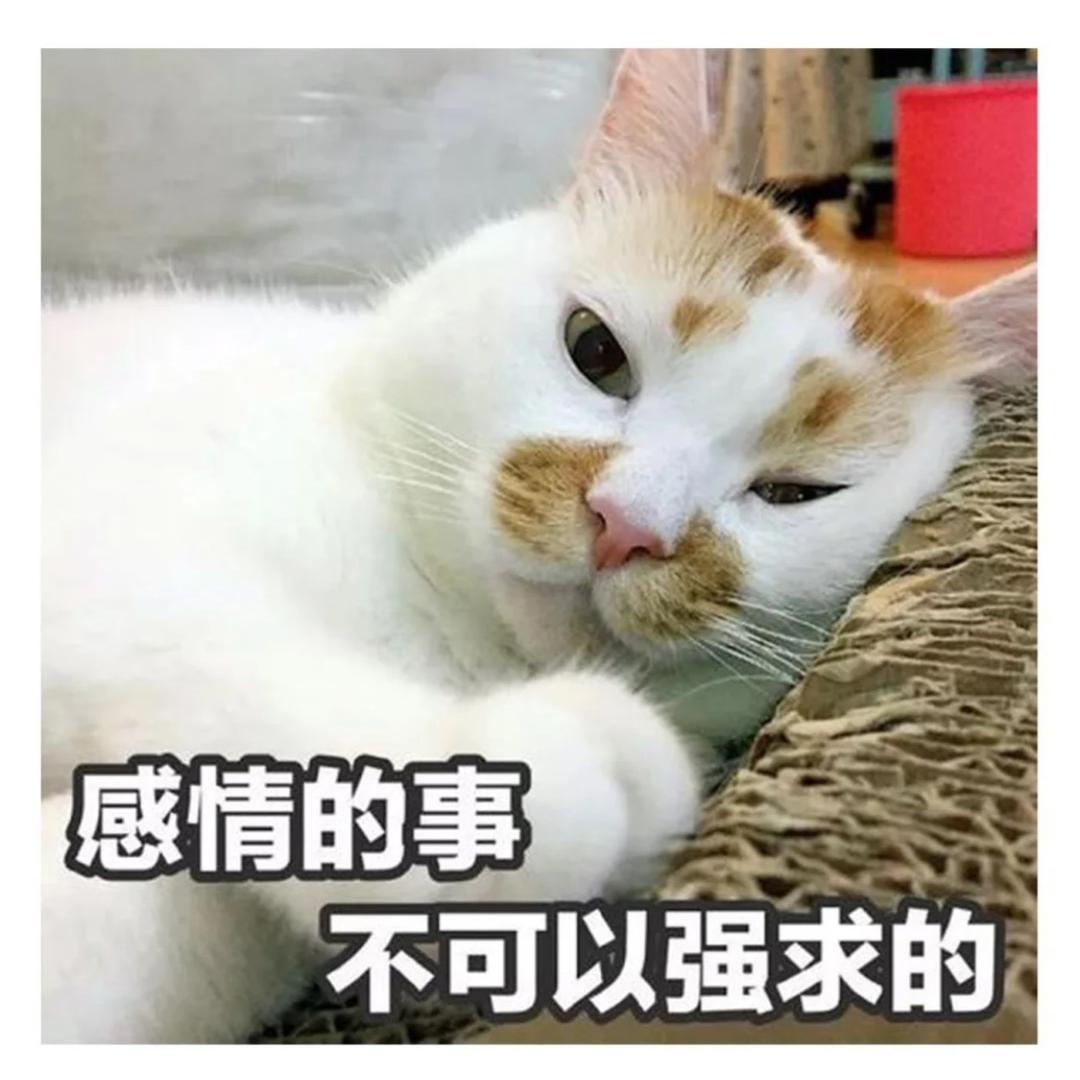 大大海