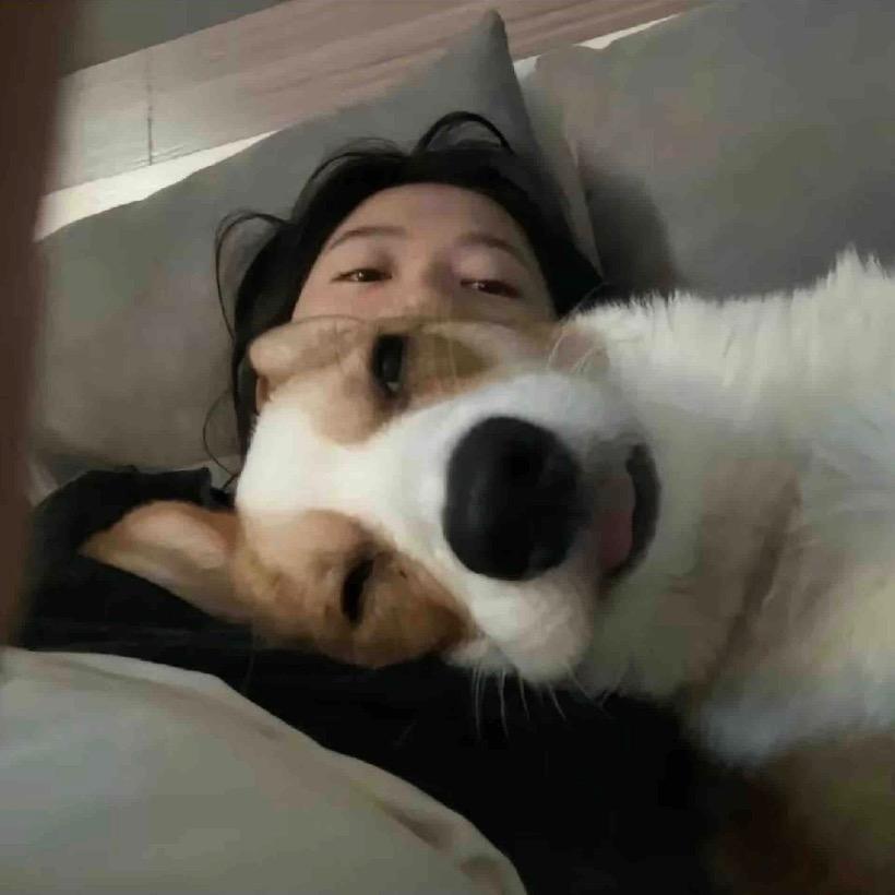 咦呀