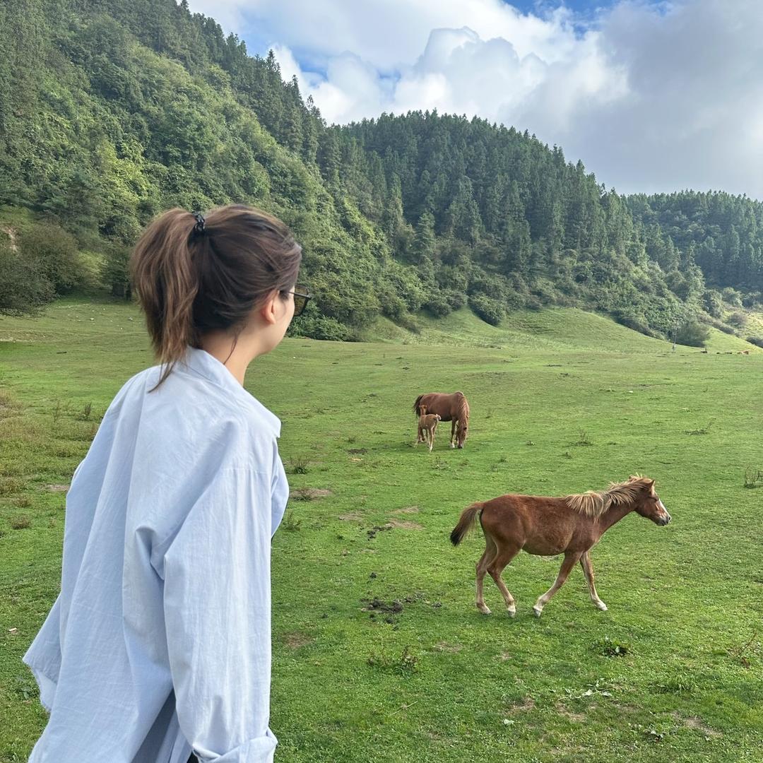 每天坚持碎碎念~