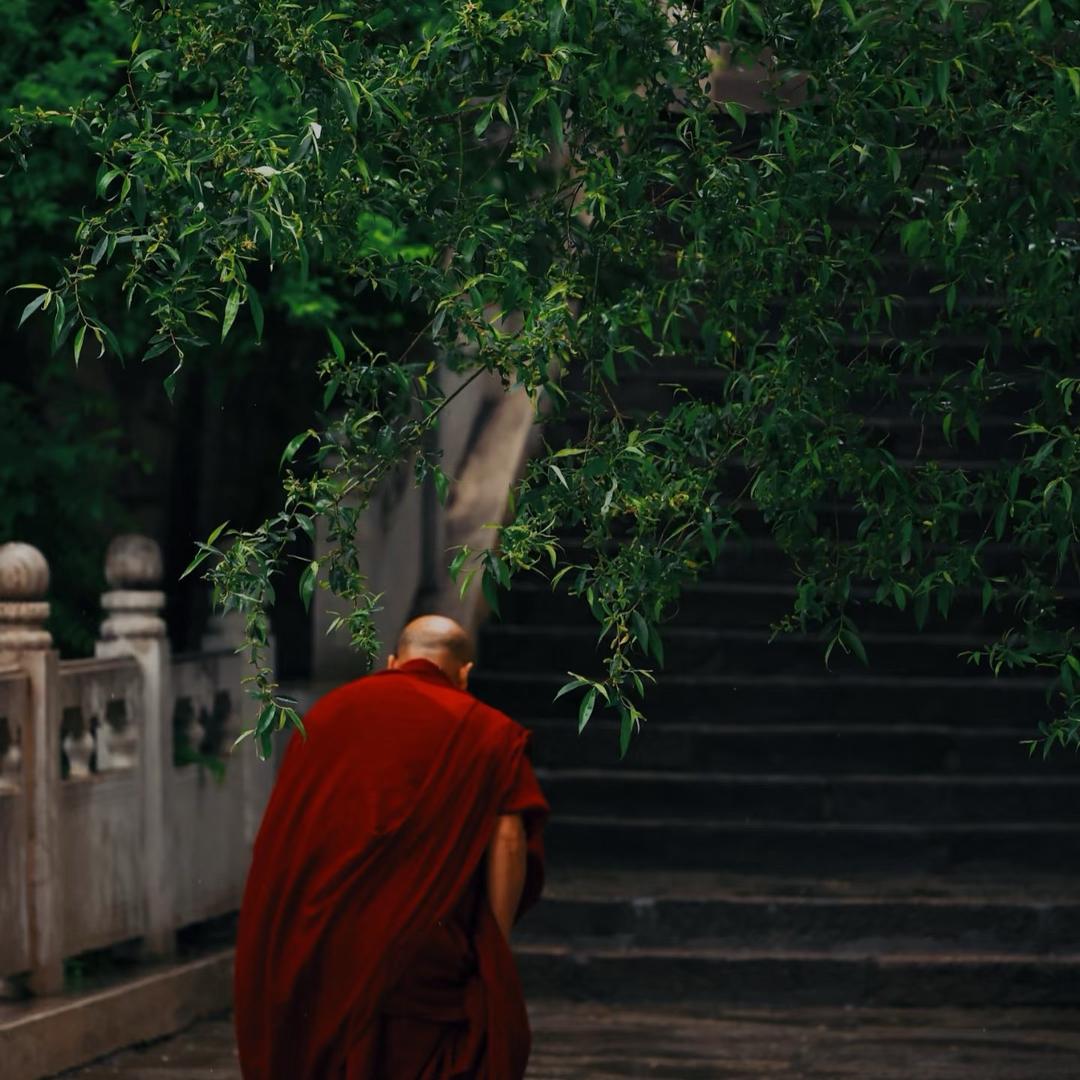 听松问禅
