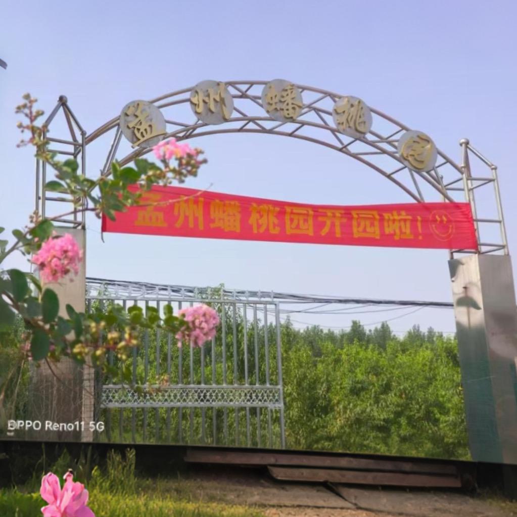 孟州蟠桃园(寺上村)