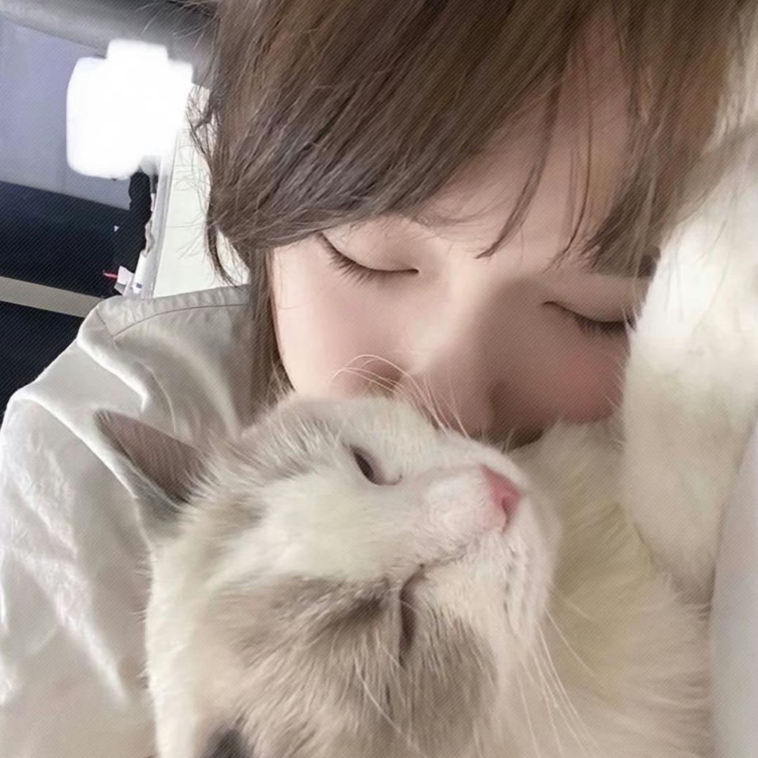 张什么欣