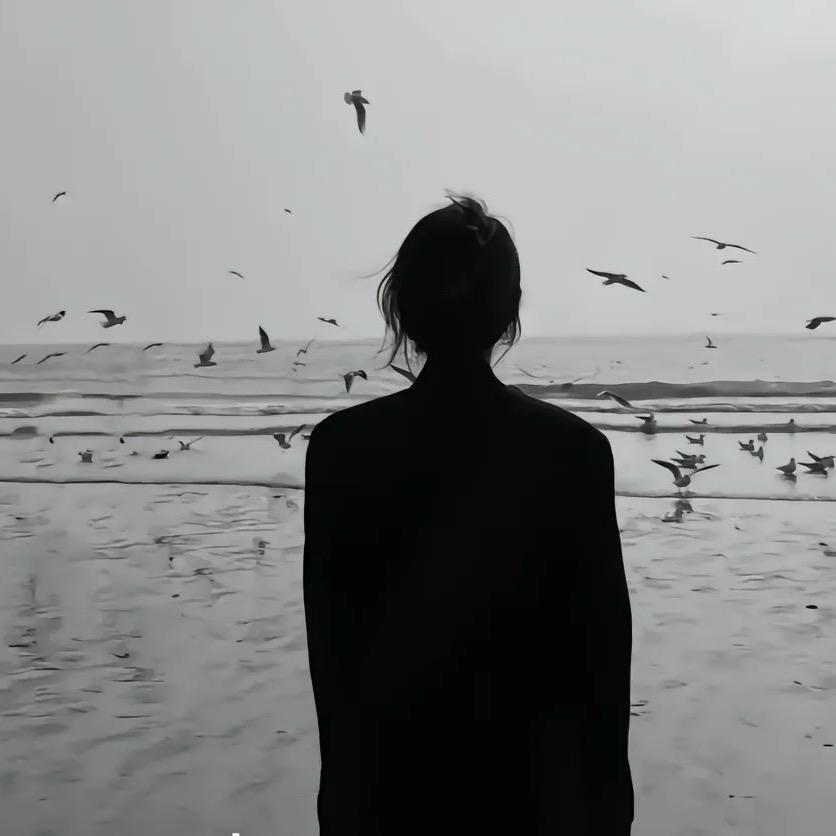 小杨总