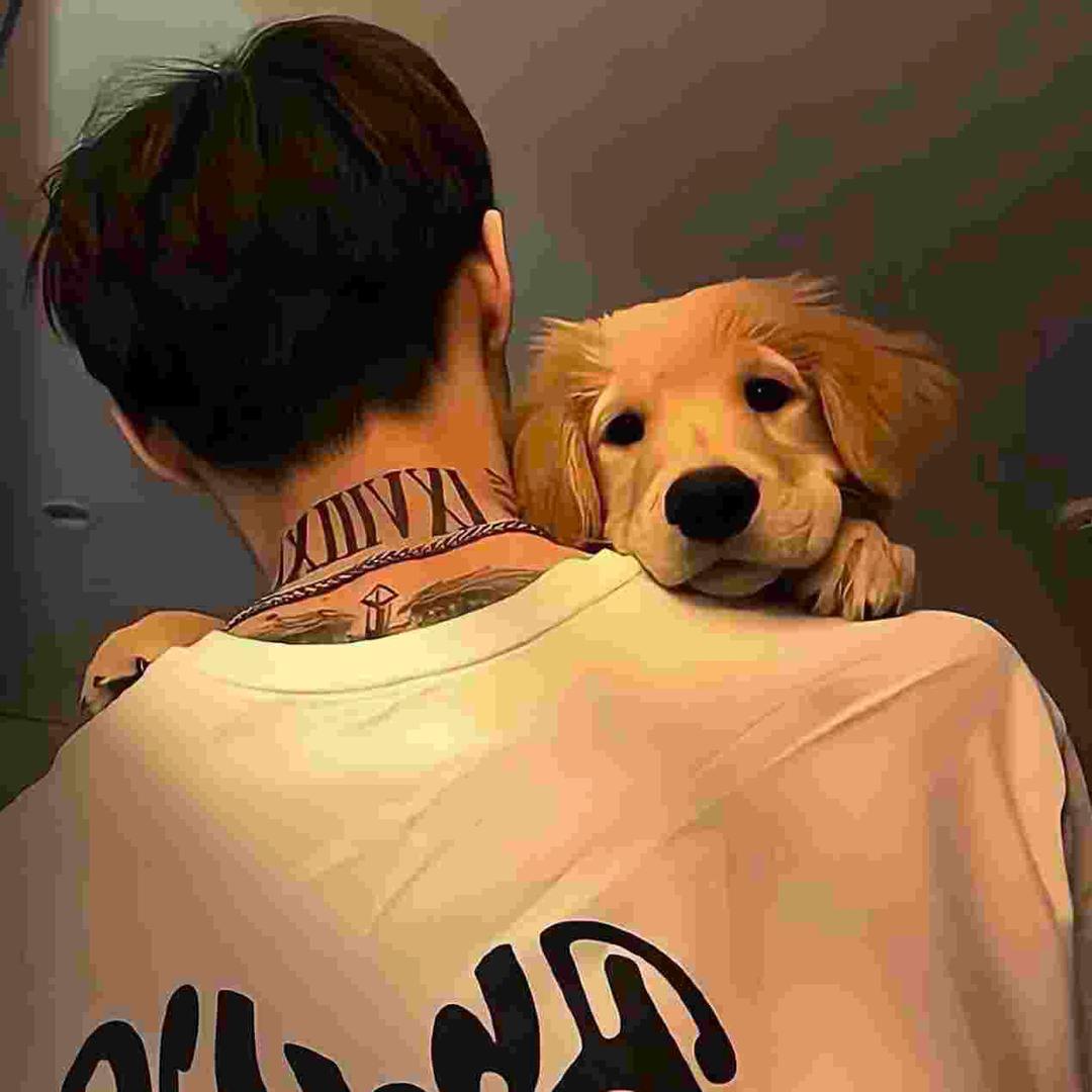 昨日的暴雨淋不湿今天的我