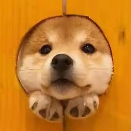 略略（🧱装修版）