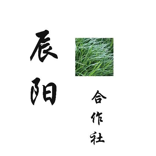 @辰阳合作社
