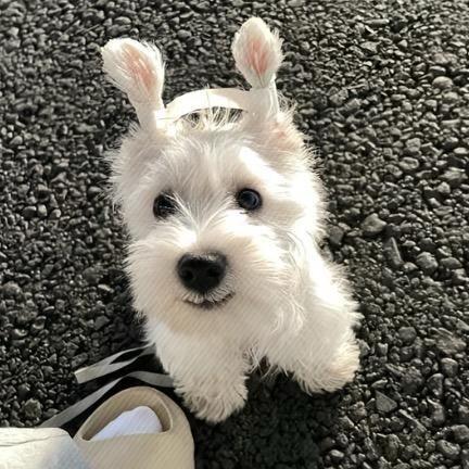 我的台灯没电了