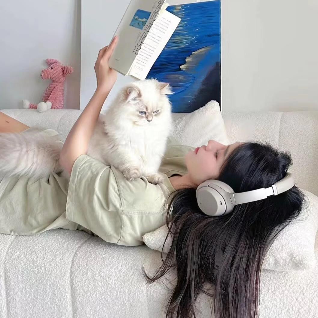 莹小只