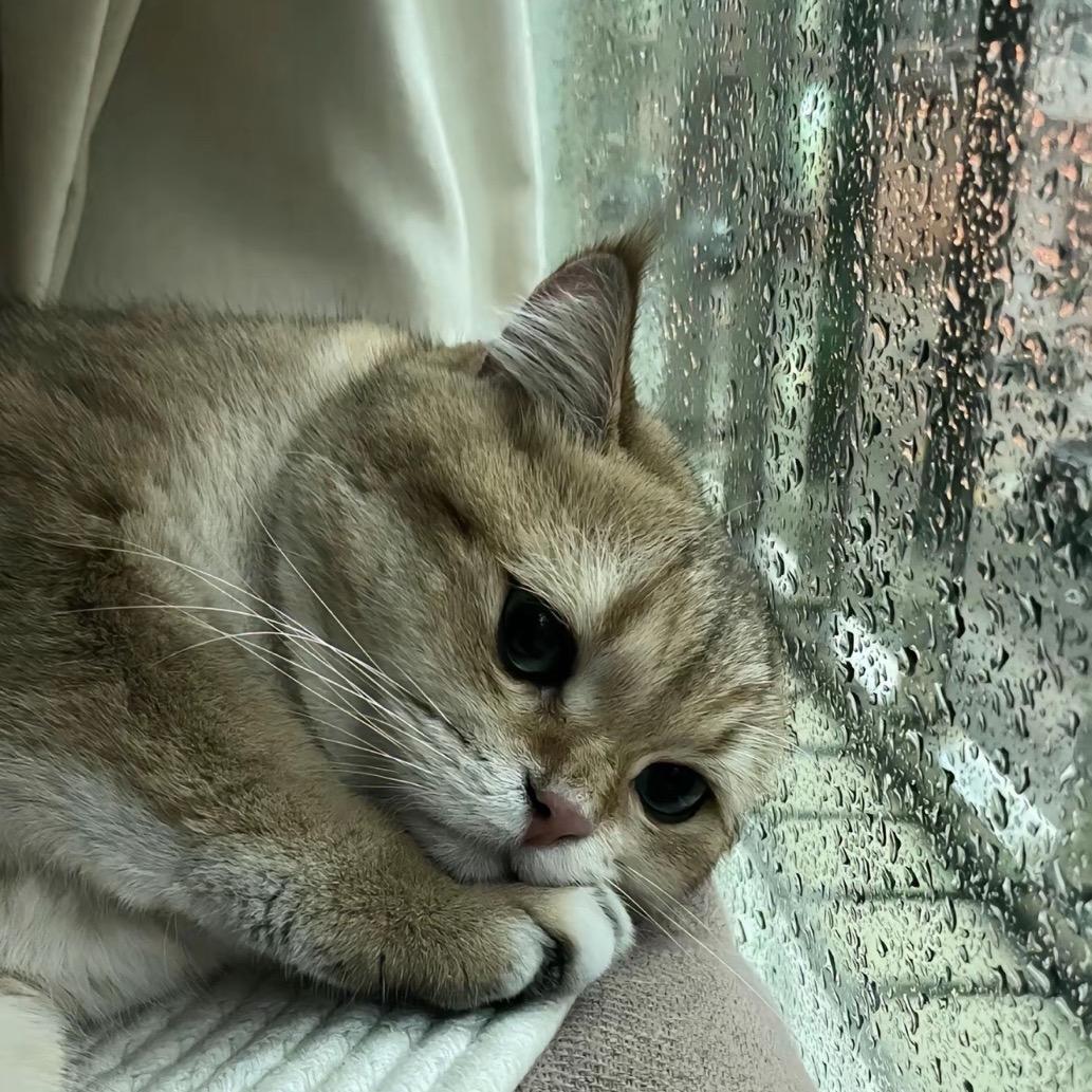 未晚