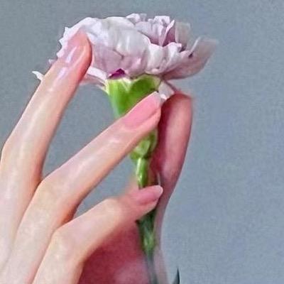 舒念668