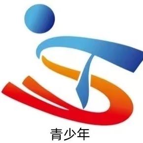 新疆天山航空（集团）有限公司