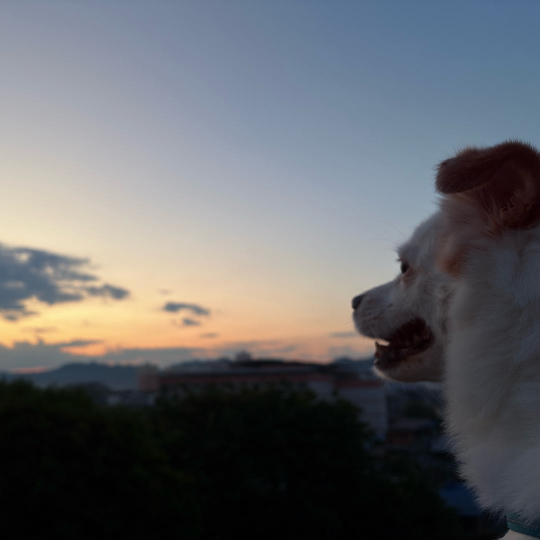 郭泱