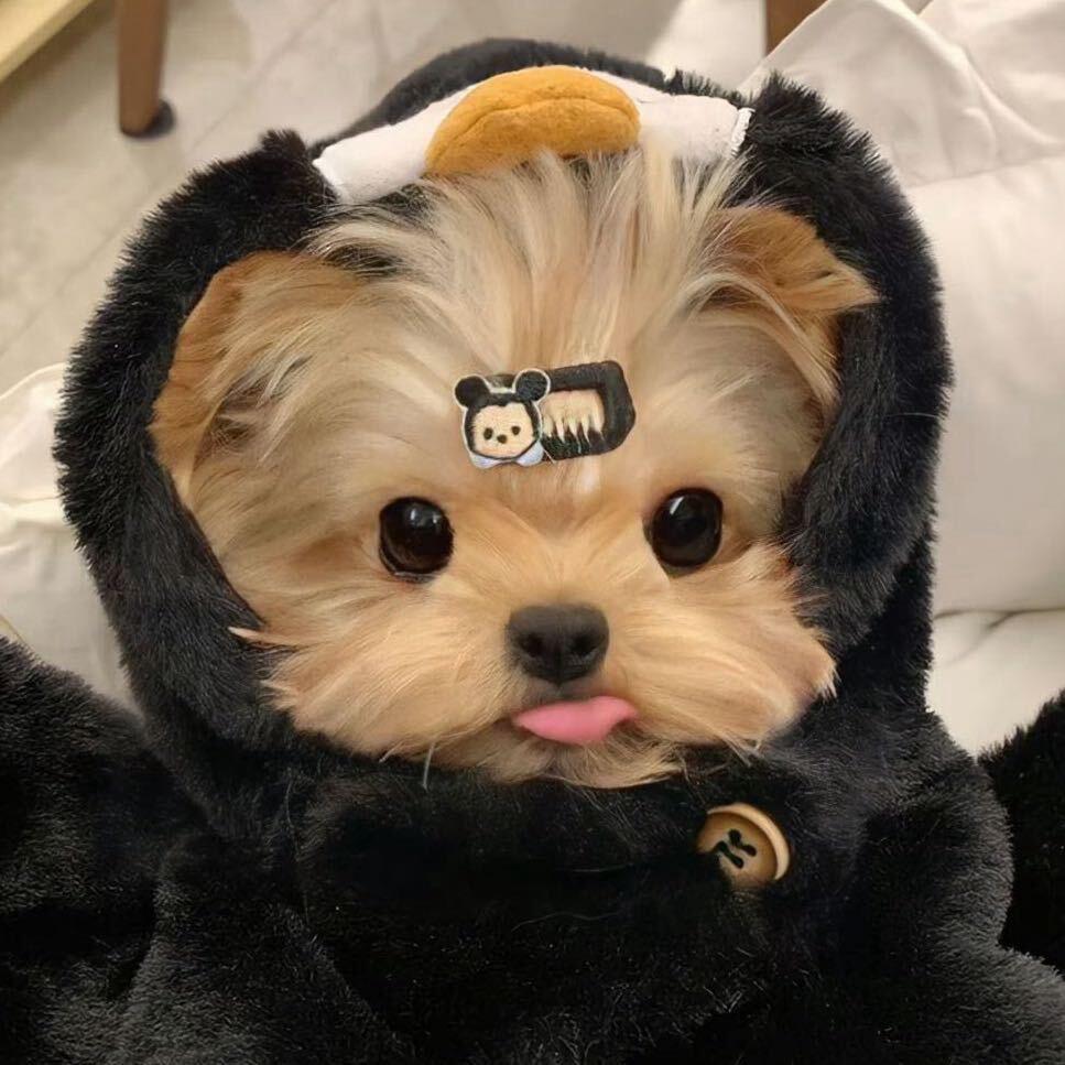 8yyyyyy