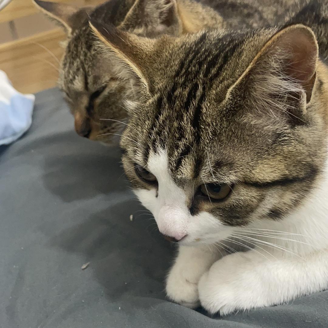 🌈🌈下一秒🌈🌈