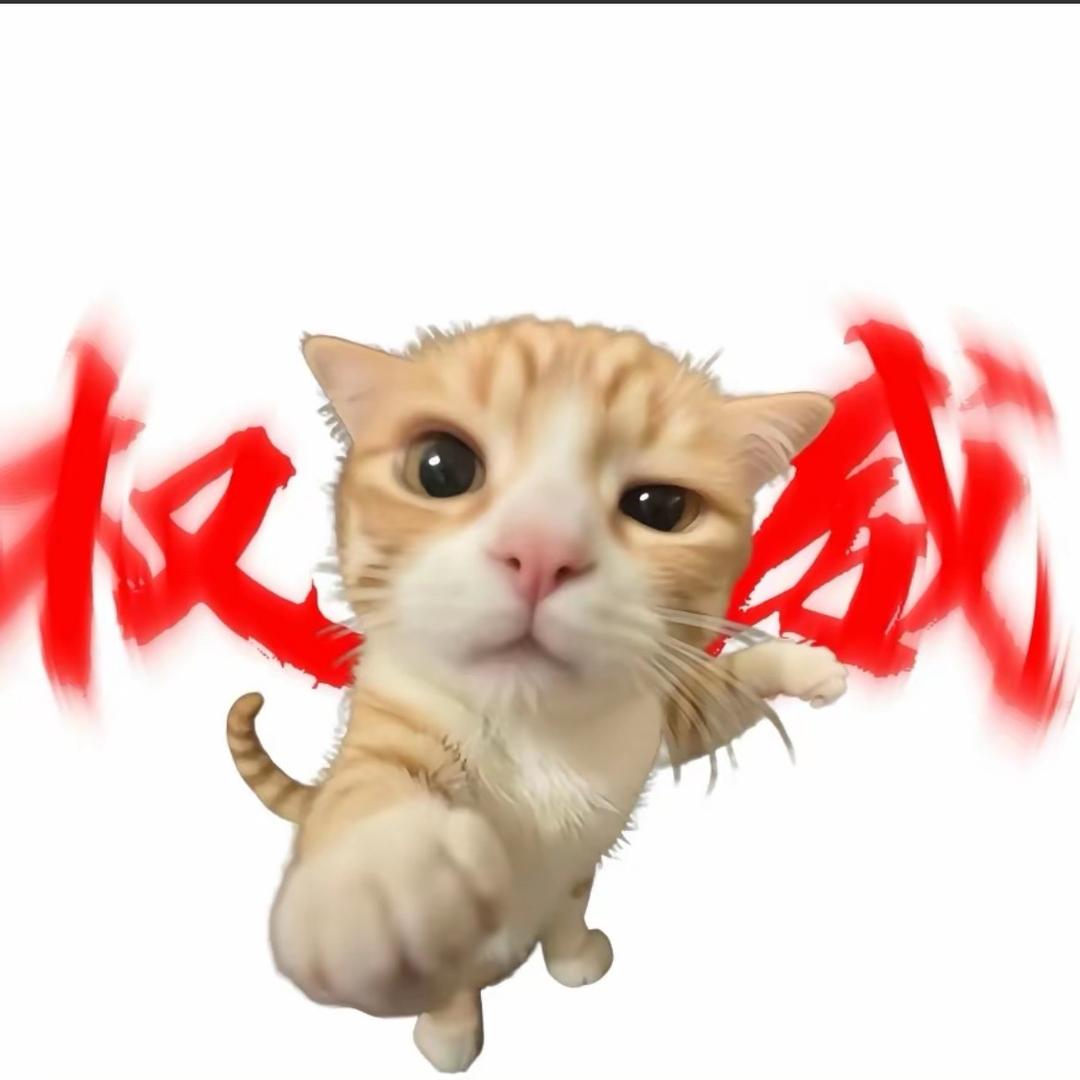 凤凰🐦‍🔥211