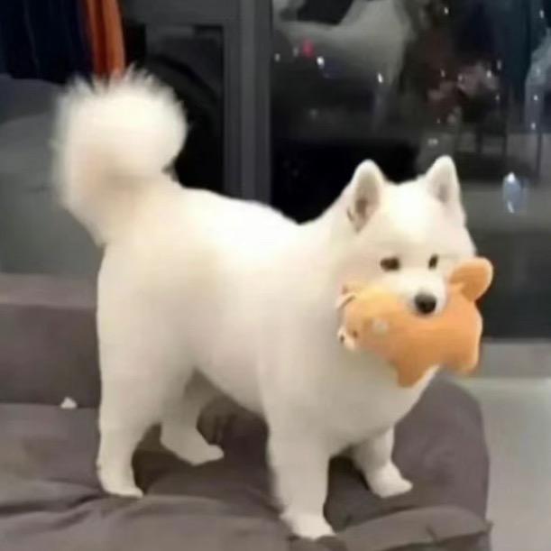 今晚回家吃饭