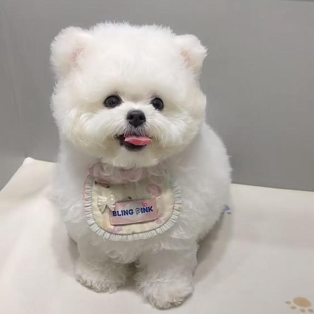 萌宠玩国（永康宝龙店）