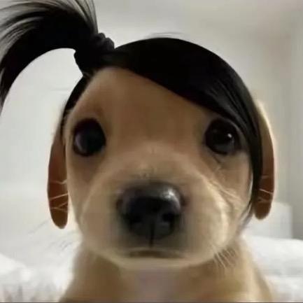 甜狗