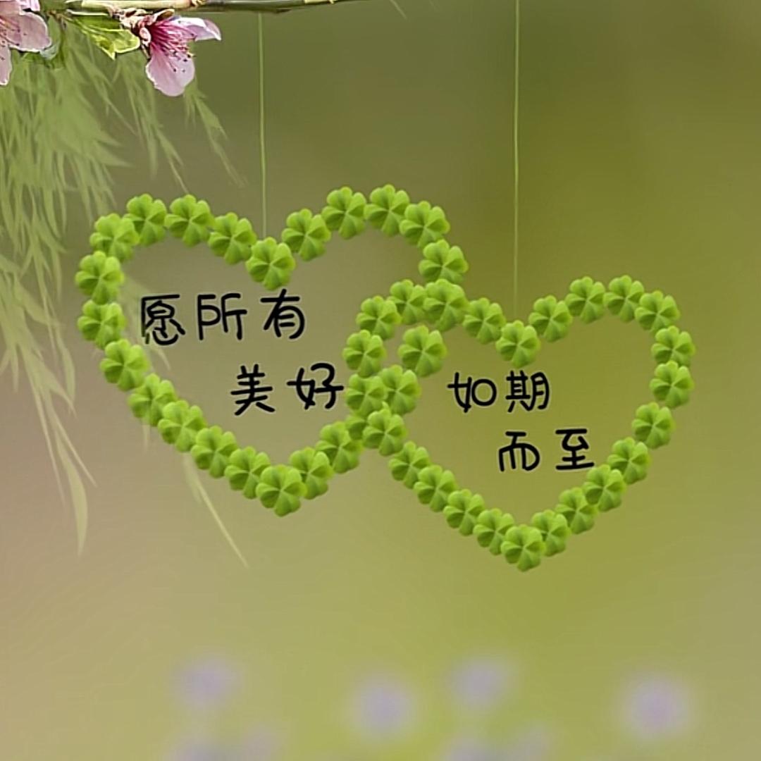 叶子🍃🍃