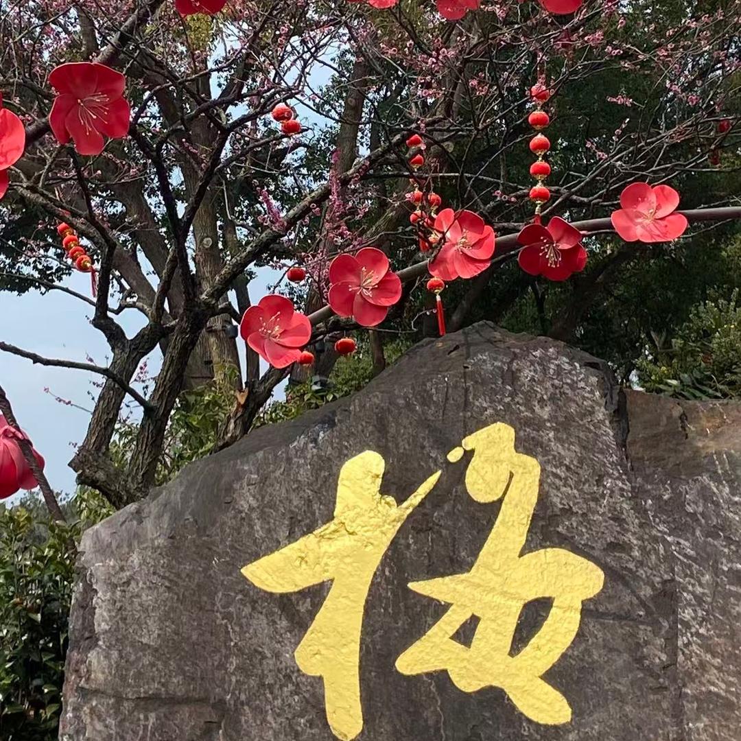 梅梅