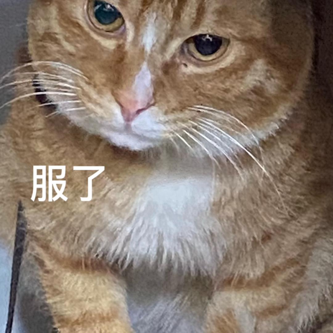 消消火🔥