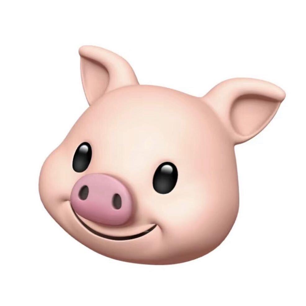 没有文化