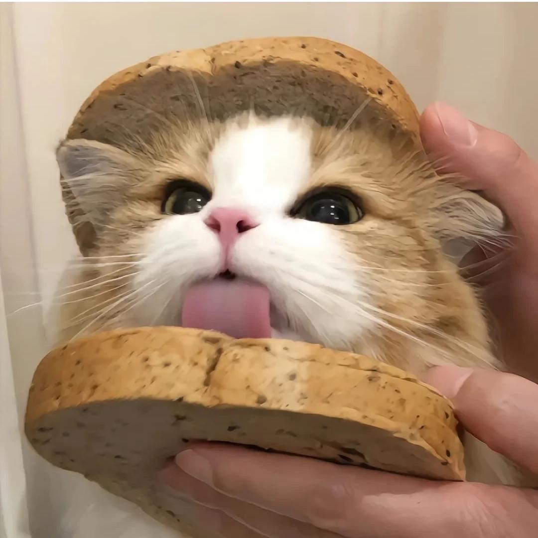 🥔 . .