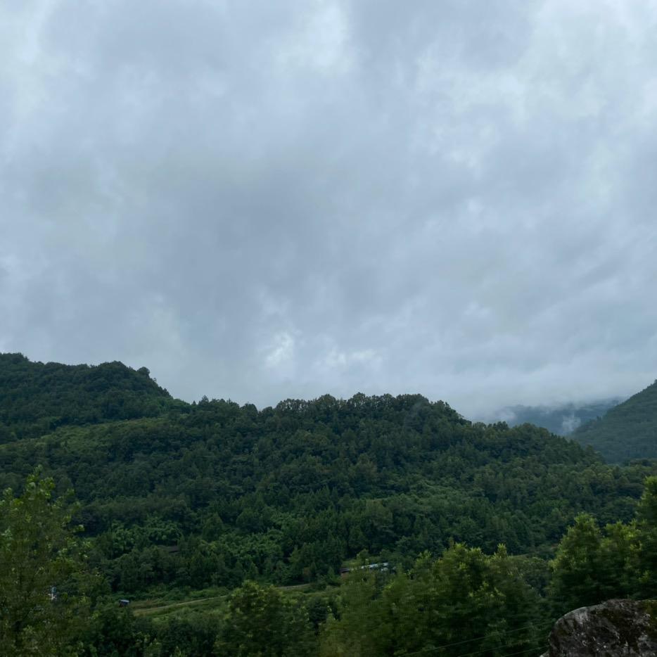 云山上吴老师
