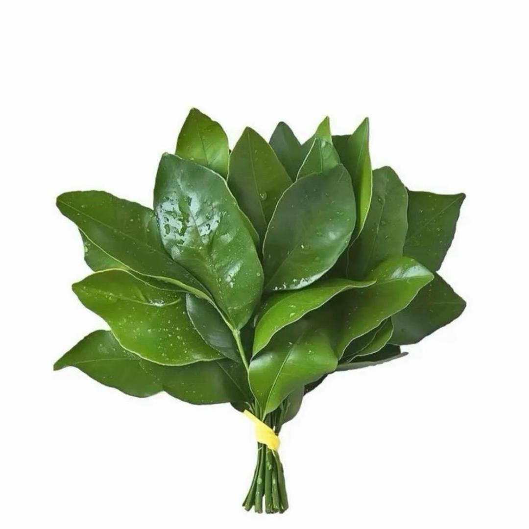 帅炸宇宙的反派鱼头