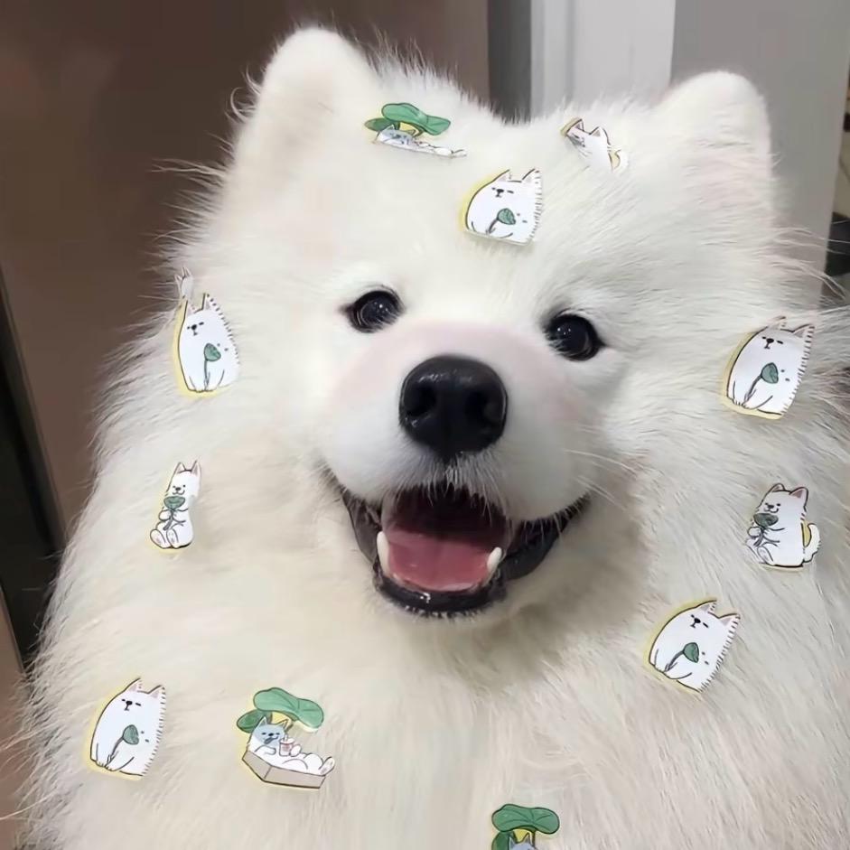 他们都叫我小猪