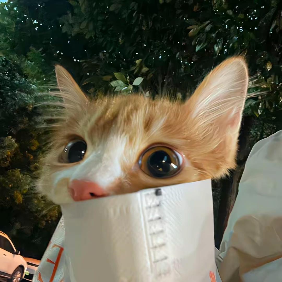 可爱猫动物手作（正版授权）