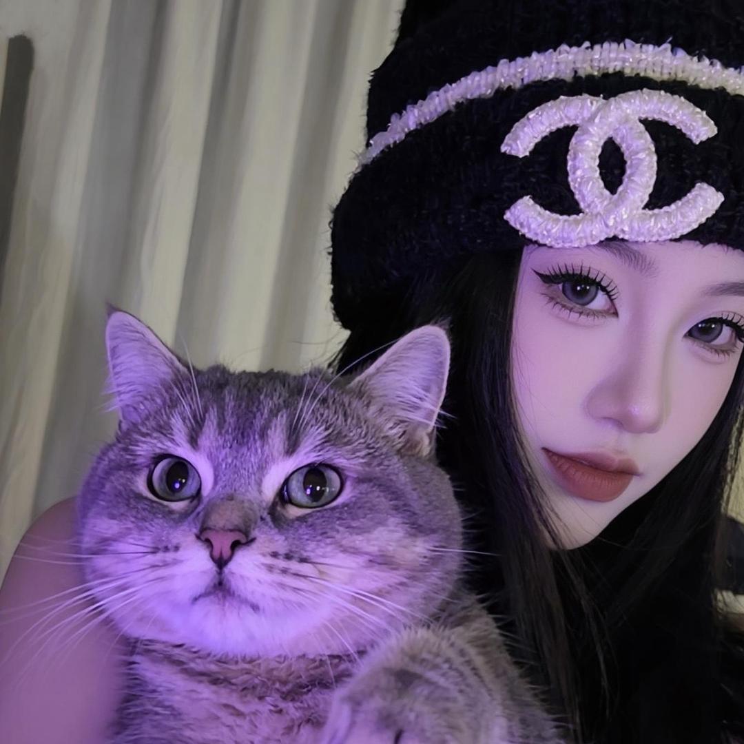 Cat.🌷
