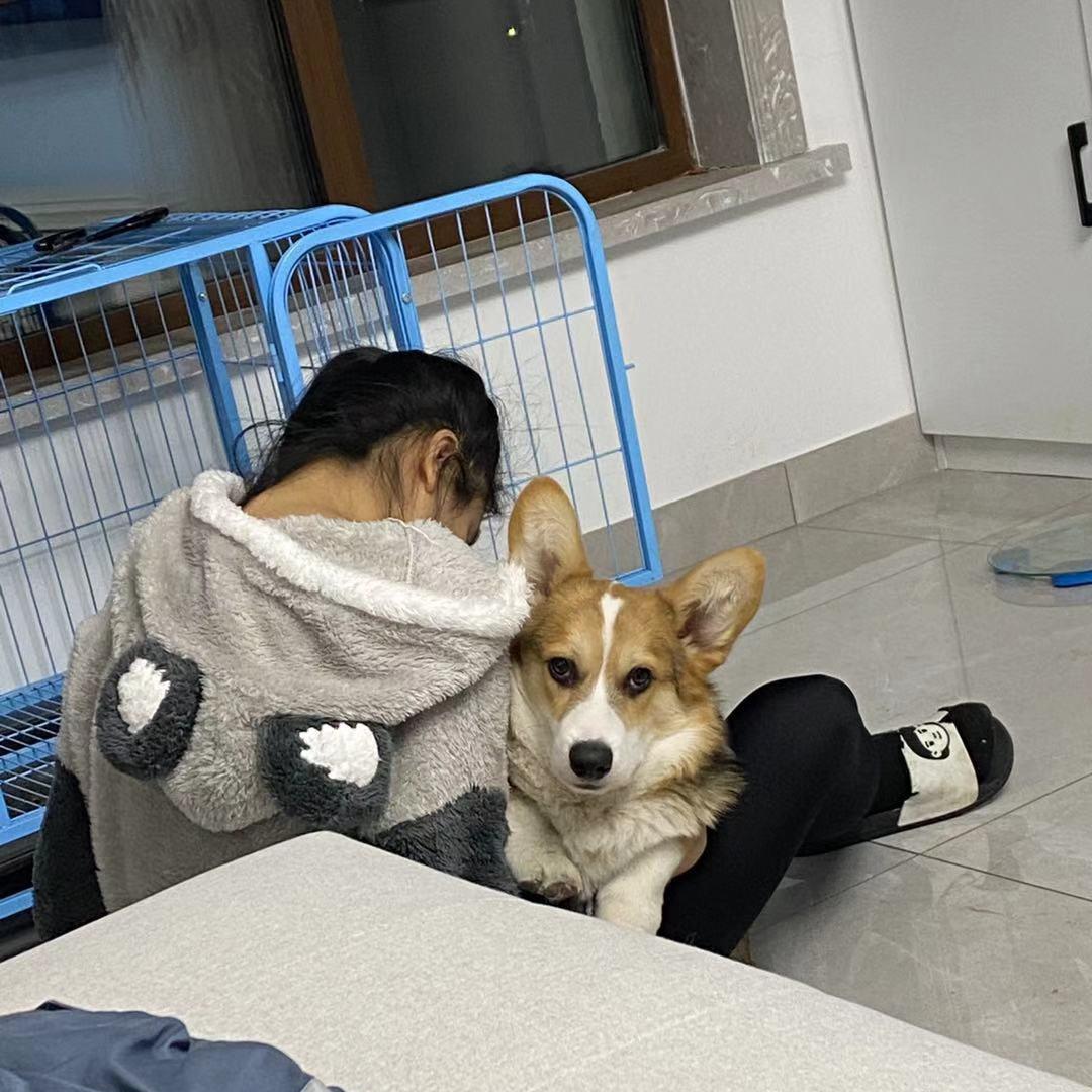 心甘情愿