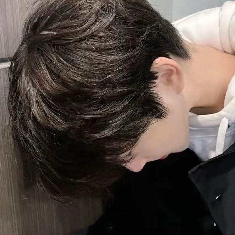 鹤鹤