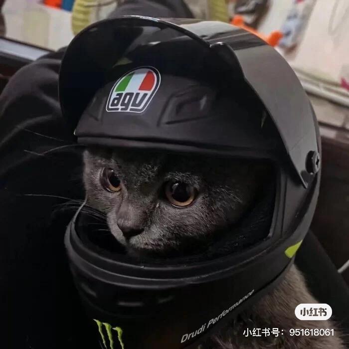 活出彩👍