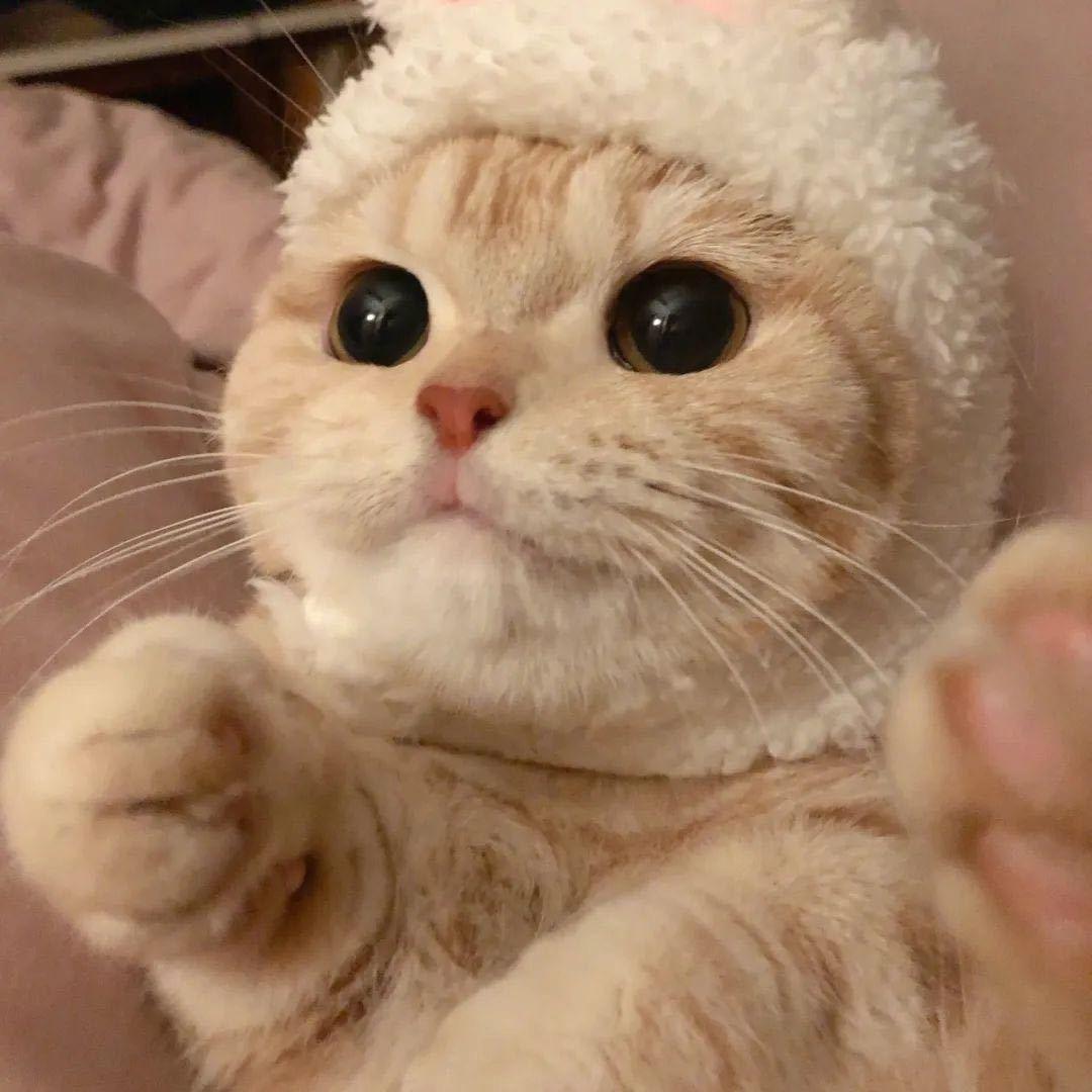 畜牧专用-百益菌