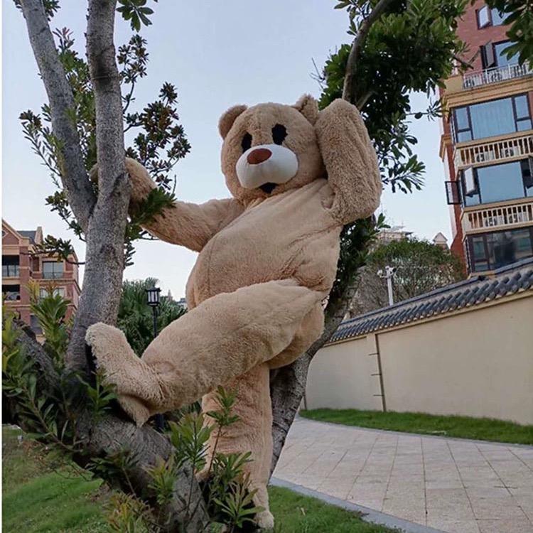 熊哈哈出击（好物分享版👗