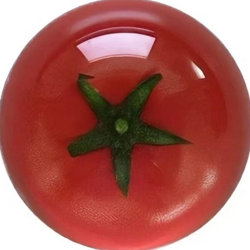 酸辣番茄🍅