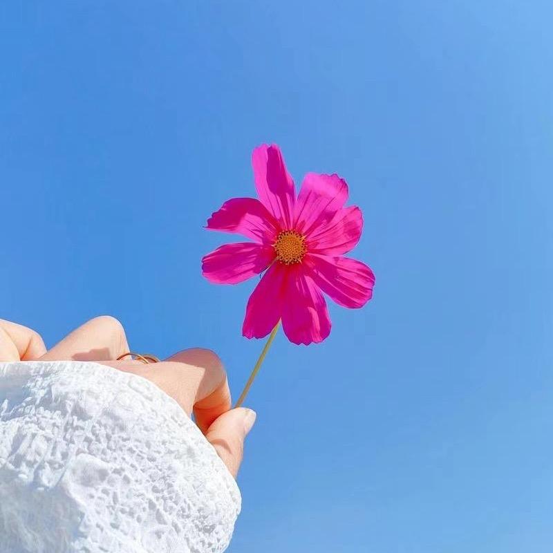 天官赐福👉🏻均均