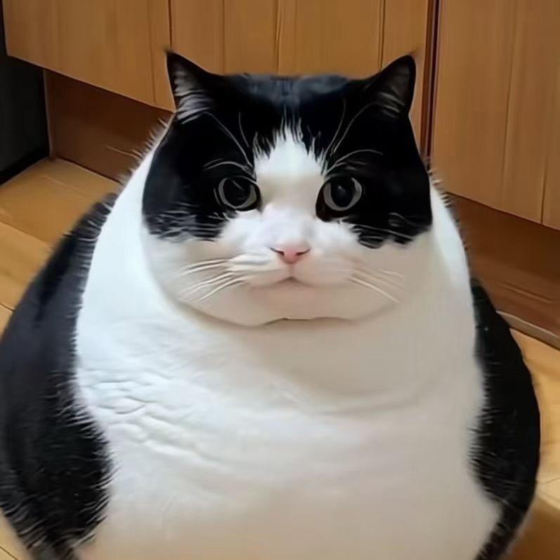 假装@~^_^