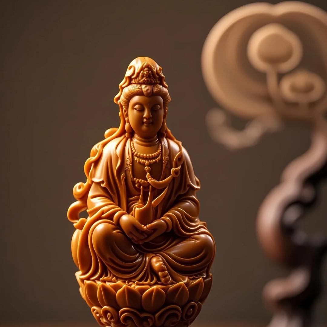 暖阳橄榄