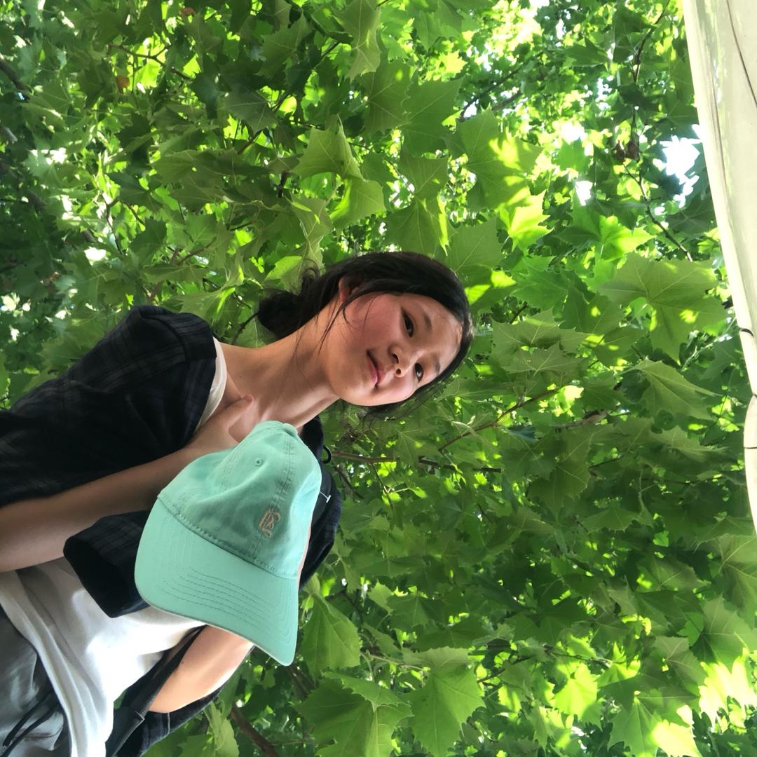 梦司令