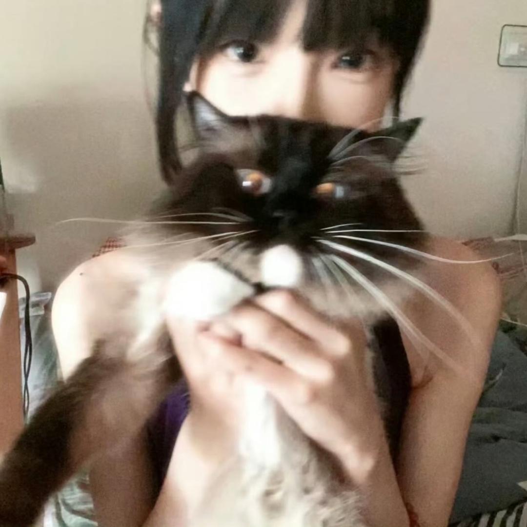 奶盖是喵🐱