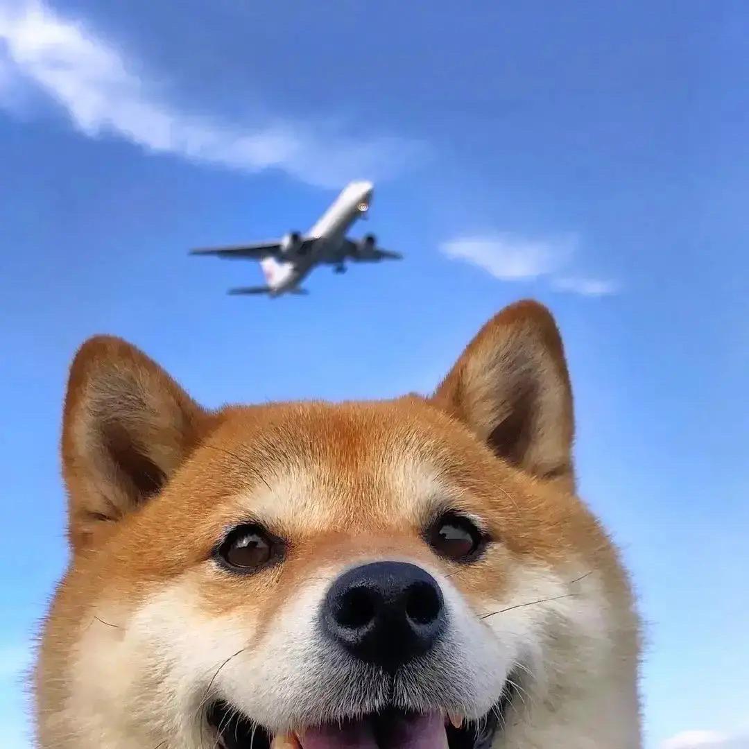 等.