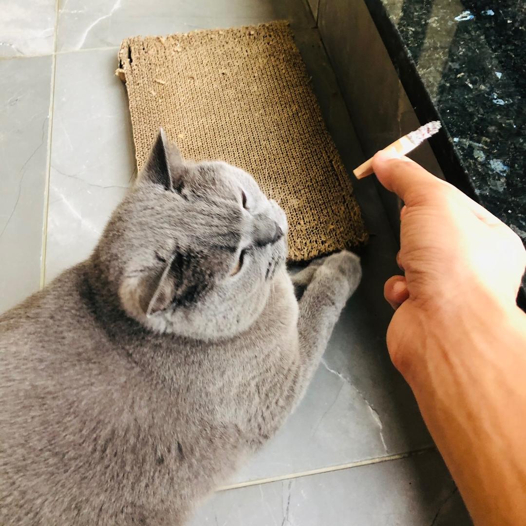 雄少