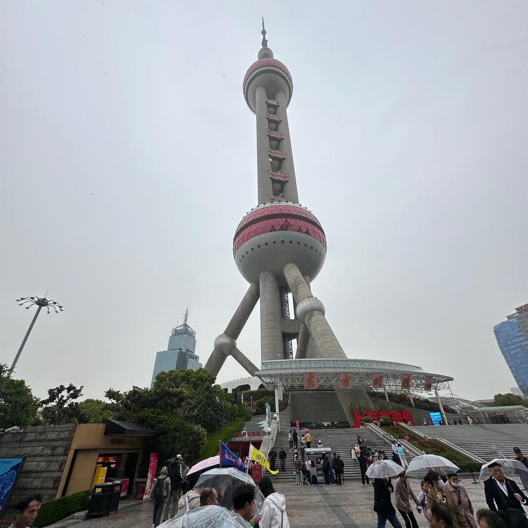 鲨鱼