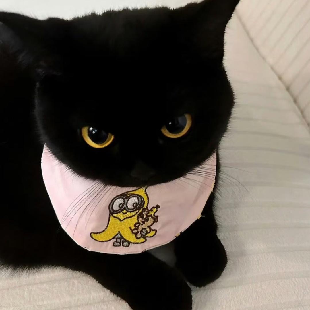 脸呢，