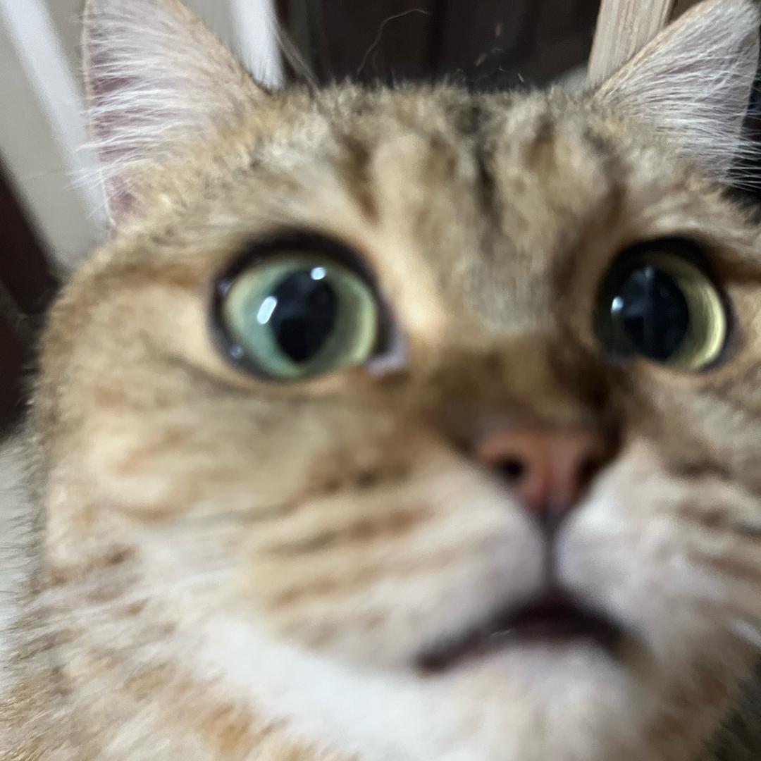 壹-
