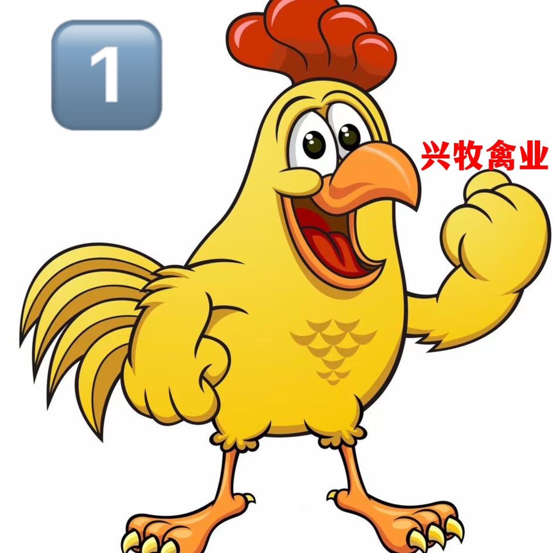 泥江口镇蛇山家禽（禽管家）